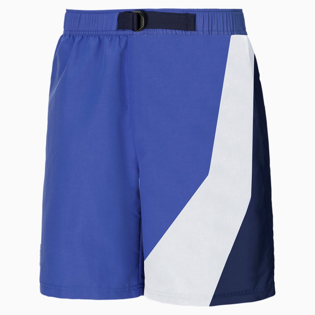 Shorts Puma PUMA x BUTTER GOODS Homme Bleu | 3487615-AY